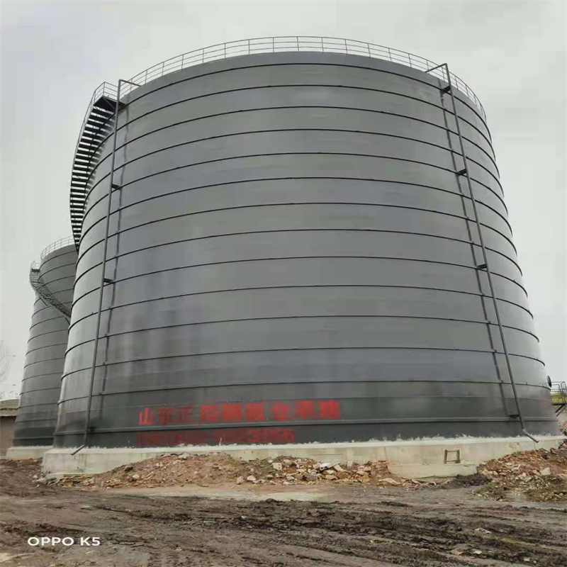 河池3万吨大型钢板库